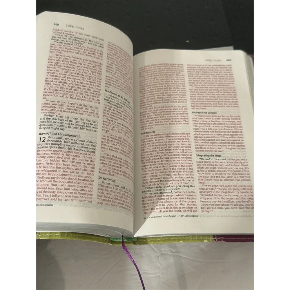 2006 NIV New International Version Holy Bible‎ Lime Green & Maroon-Red Lettering
